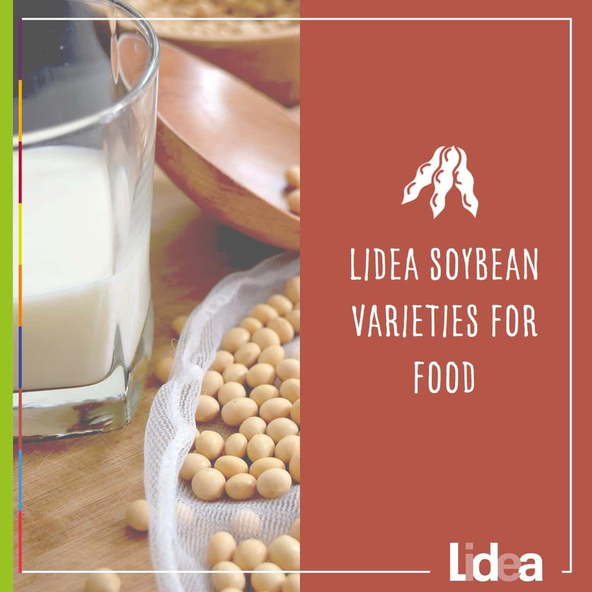 Lidea soybean varieties for food