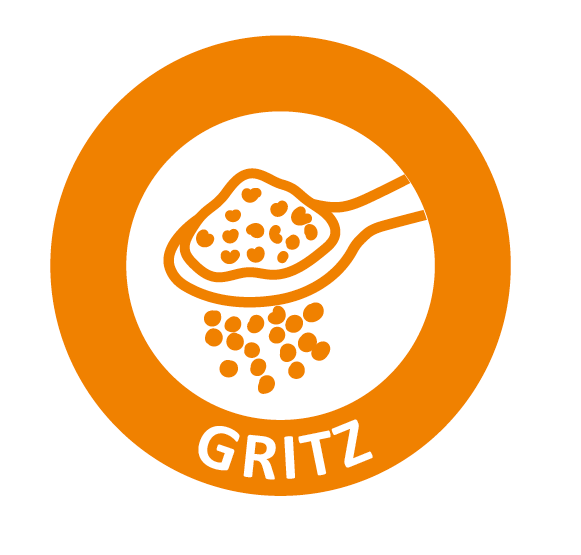 gritz